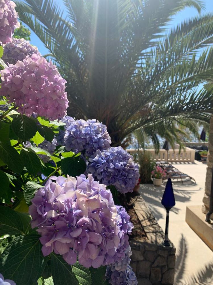 Villa Istra, Mošćenička Draga — mediteranski ambijent